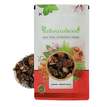 https://cdn.shopify.com/s/files/1/1857/6931/products/CbKogaLDUm.jpg?v=1635772455